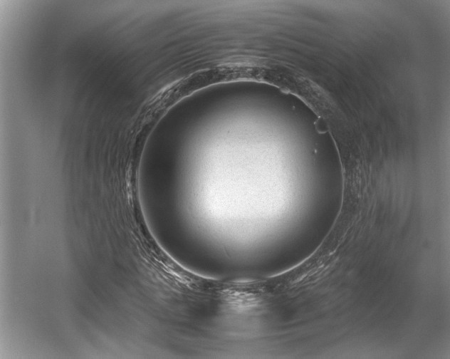 X0000057560821200509191419
