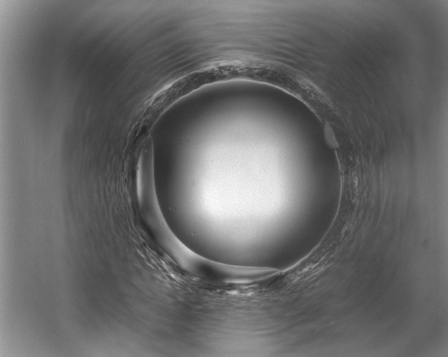 X0000057560822200509191419