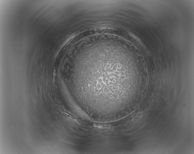 X0000057560823200509191419
