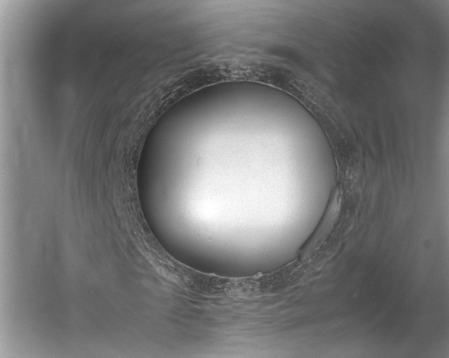 X0000057560865200509191419