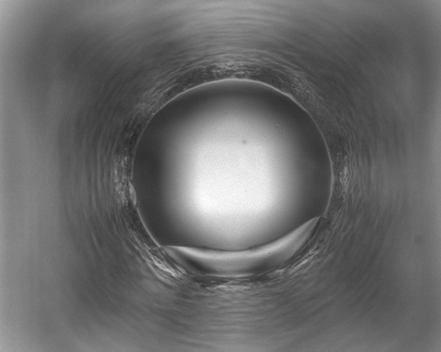 X0000057560868200509191419