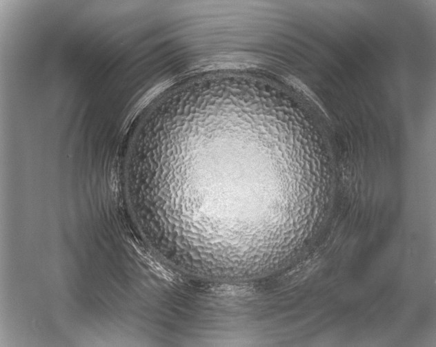 X0000057560874200509191419