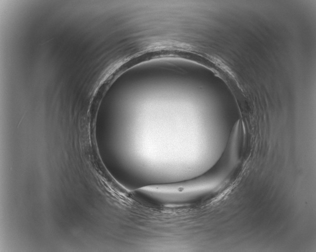 X0000057560877200509191419