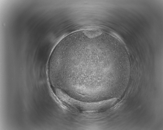 X0000057560907200509191418