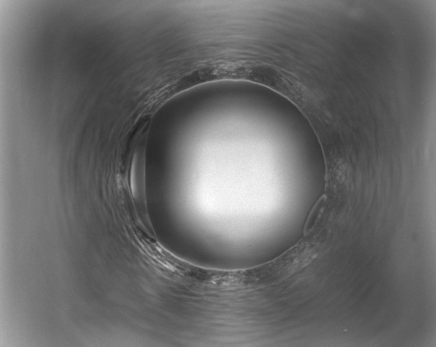 X0000057560914200509191417