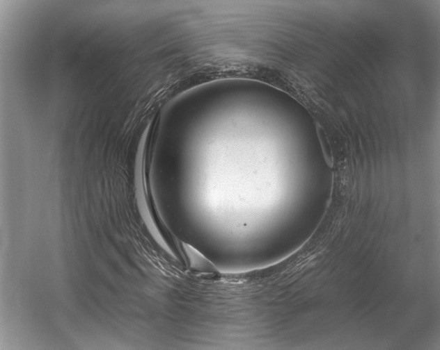 X0000057560916200509191417