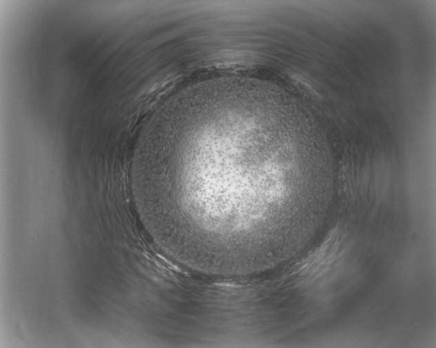 X0000057560917200509191418