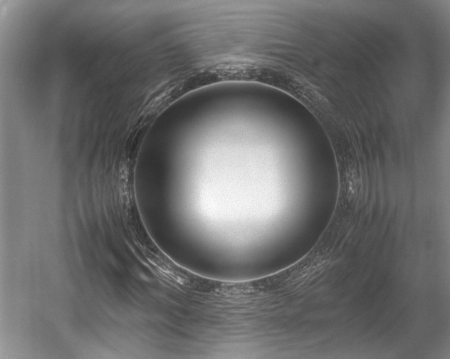 X0000057560964200509191417