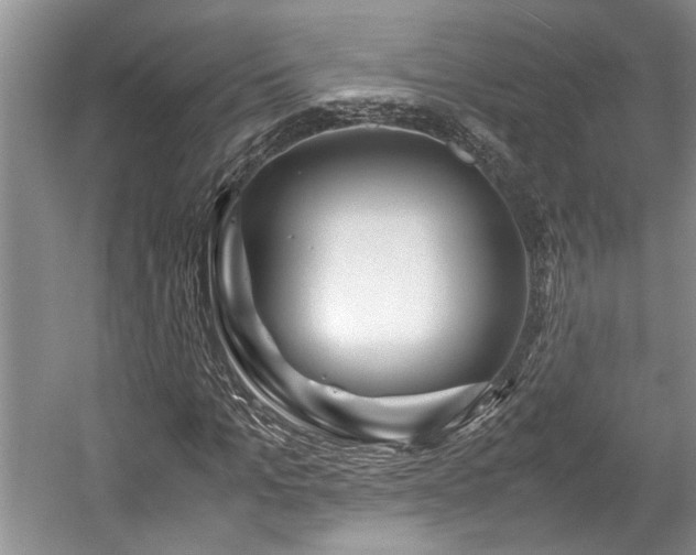X0000057560965200509191417