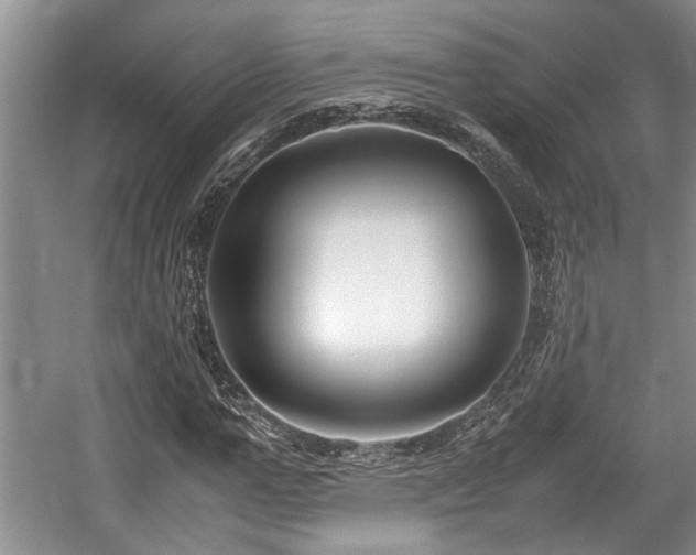 X0000057560967200509191417