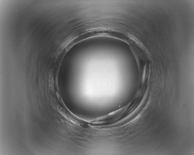 X0000057560969200509191417