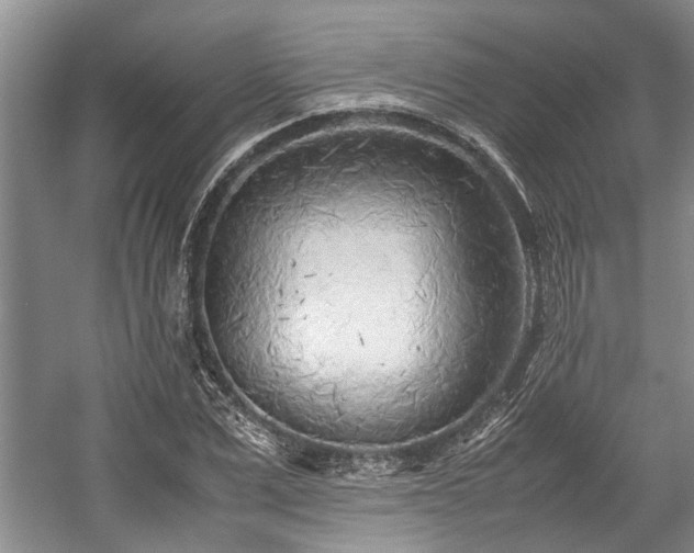 X0000057560975200509191417