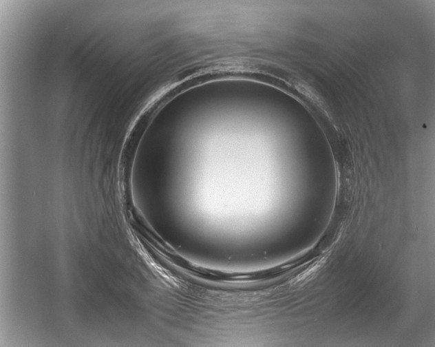X0000057560981200509191417