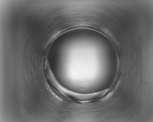 X0000057560985200509191417