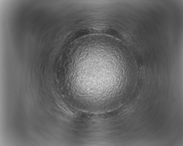 X0000057561009200509191416