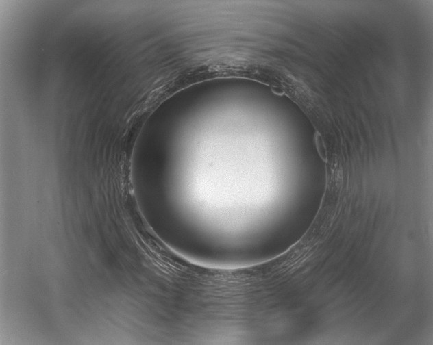 X0000057561012200509191416
