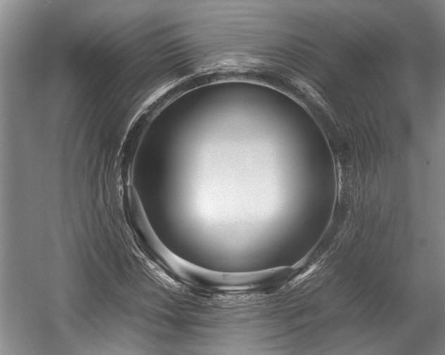 X0000057561018200509191416