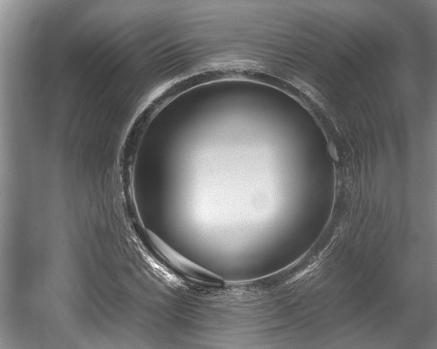 X0000057561022200509191416