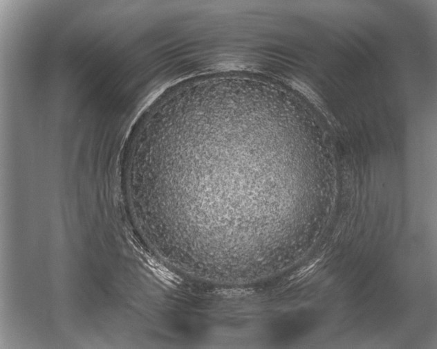 X0000057561023200509191416