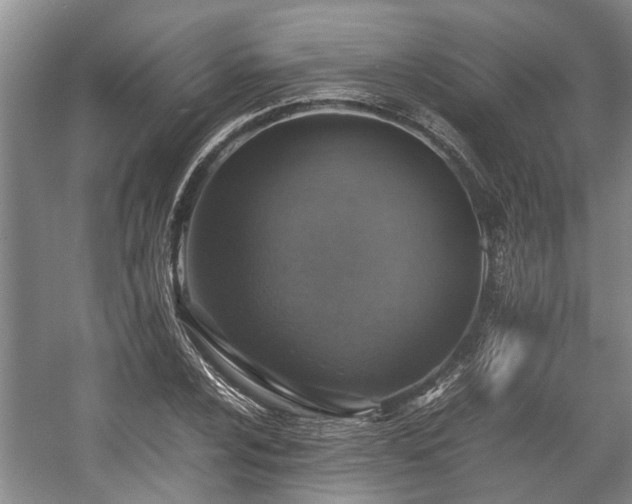 X0000057561024200509191416