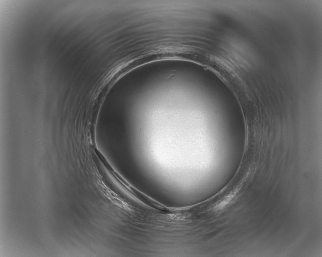 X0000057561025200509191416