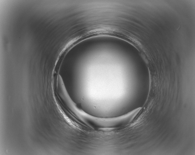 X0000057561034200509191416