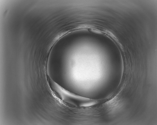 X0000057561049200509191416