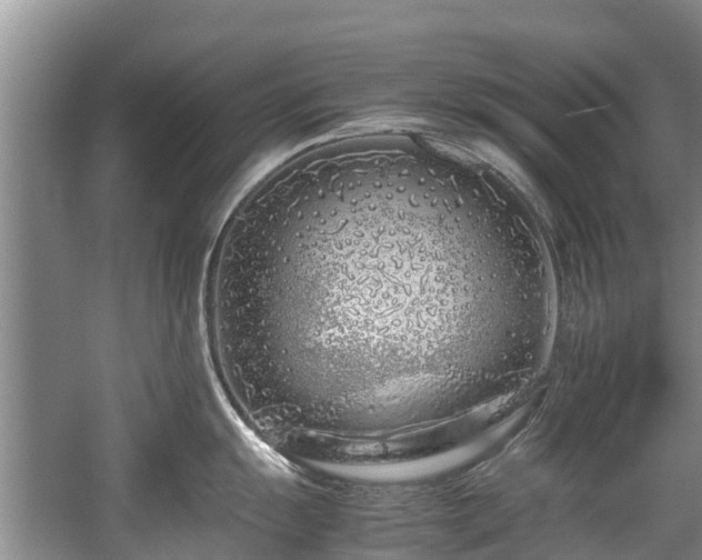 X0000057561055200509191417