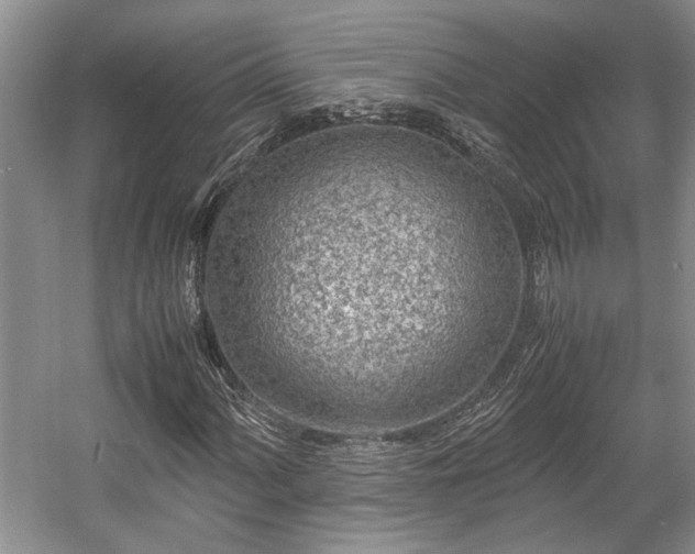 X0000057561060200509191416