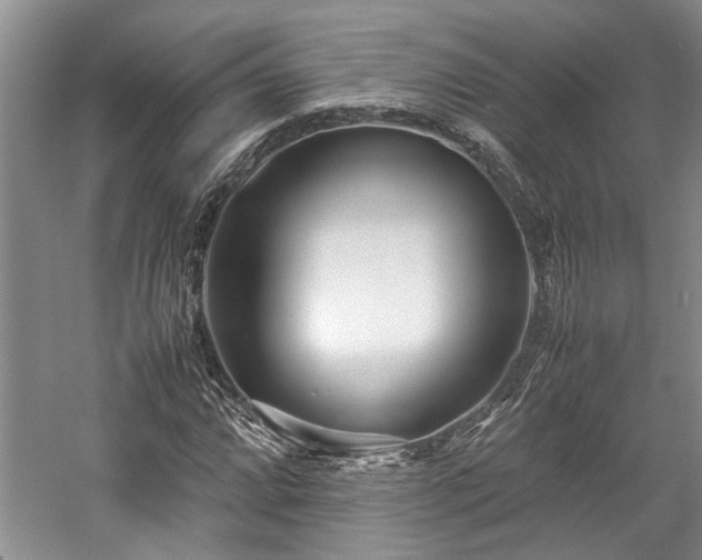 X0000057561064200509191416