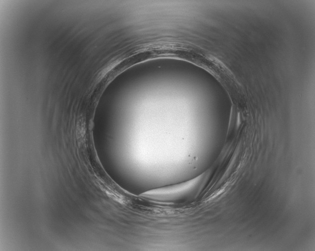 X0000057561065200509191416