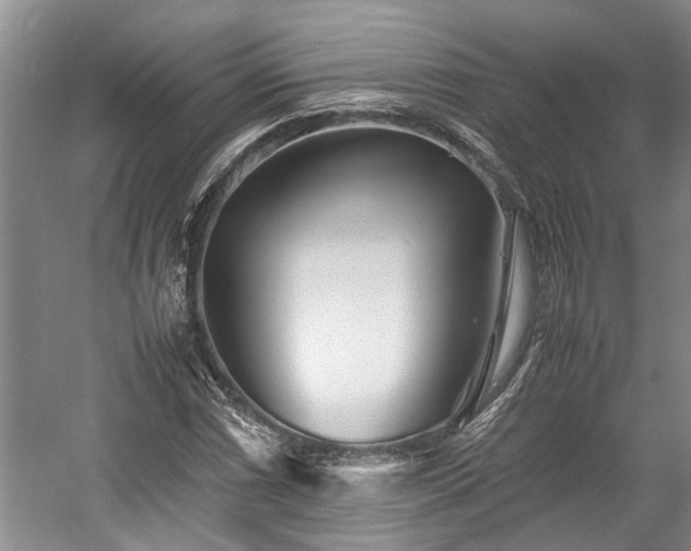 X0000057561066200509191416