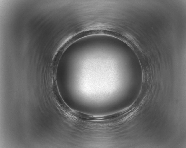X0000057561069200509191416
