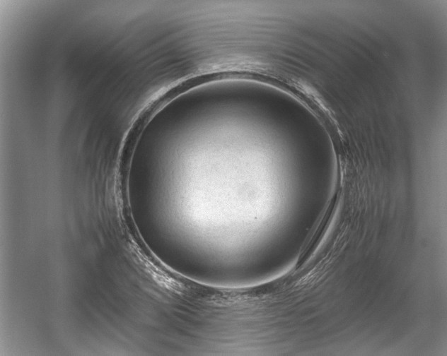 X0000057561072200509191416