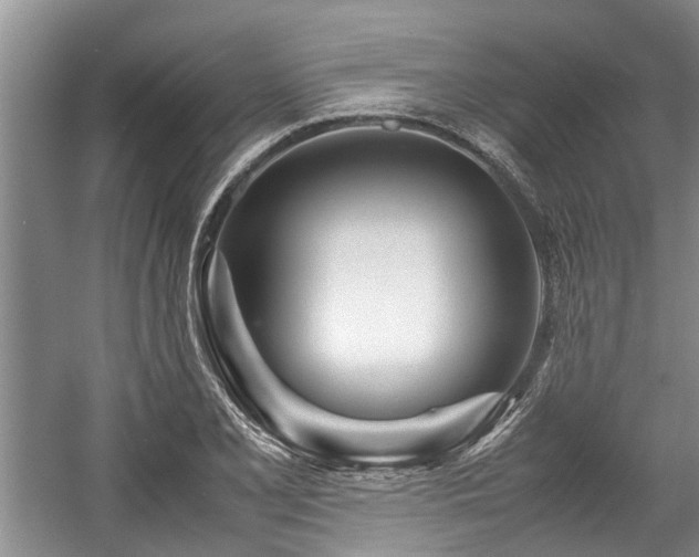 X0000057561077200509191415
