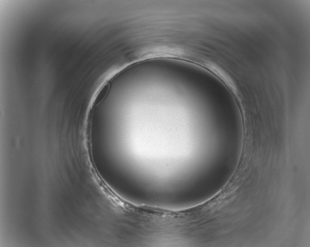 X0000057561104200509191415