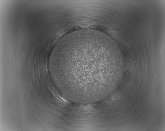 X0000057561106200509191414