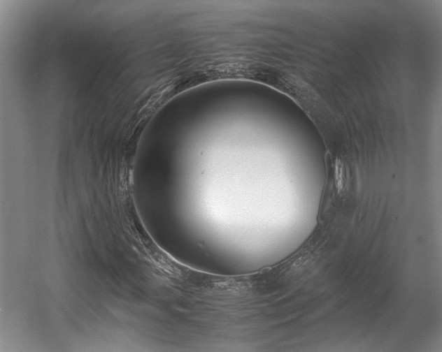 X0000057561107200509191414