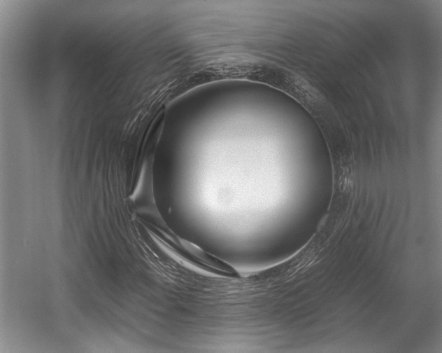 X0000057561108200509191414