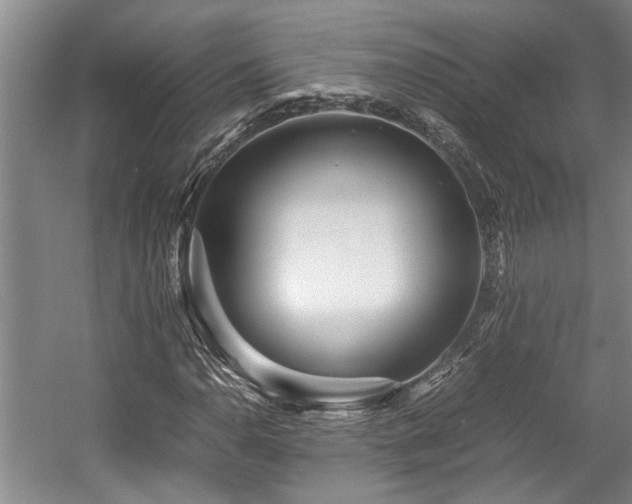 X0000057561110200509191414