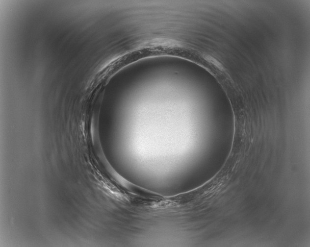 X0000057561112200509191414