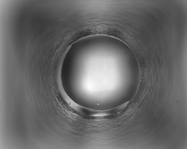 X0000057561153200509191414