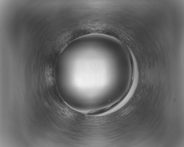 X0000057561156200509191414