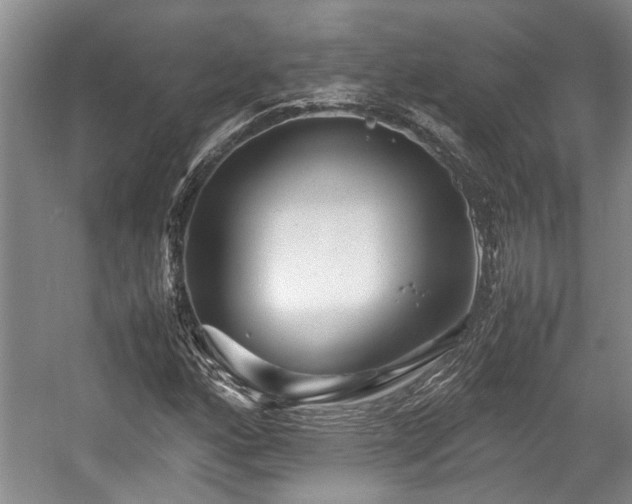 X0000057561160200509191414