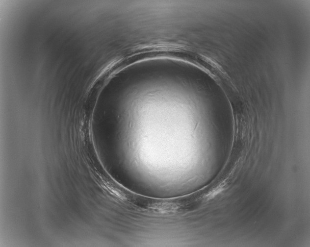 X0000057561163200509191414