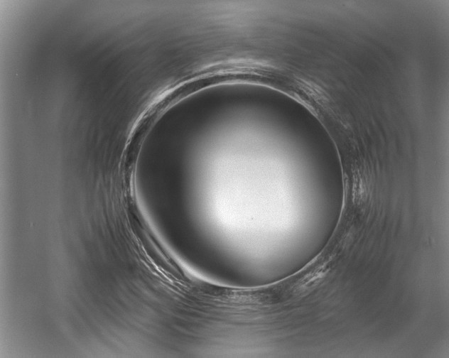 X0000057561164200509191414