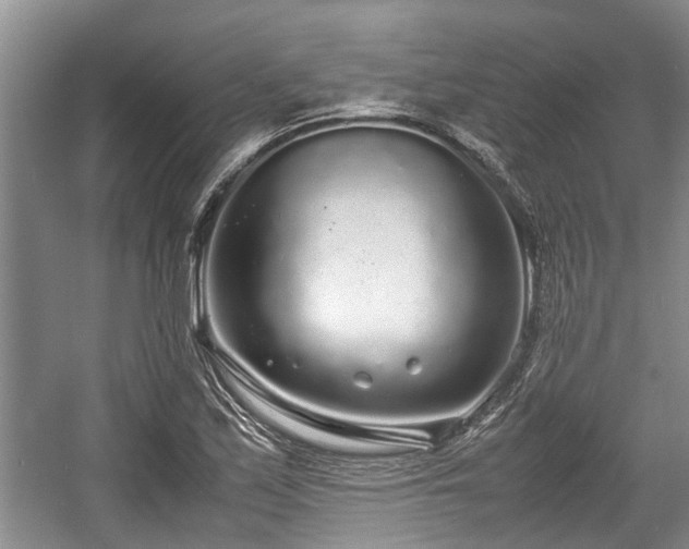 X0000057561171200509191414