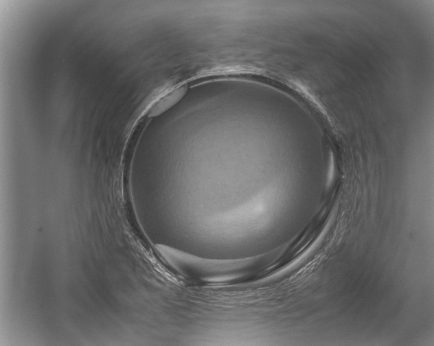 X0000057561173200509191414