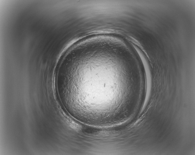 X0000057561179200509191414