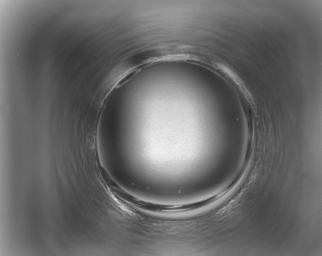 X0000057561193200509191413
